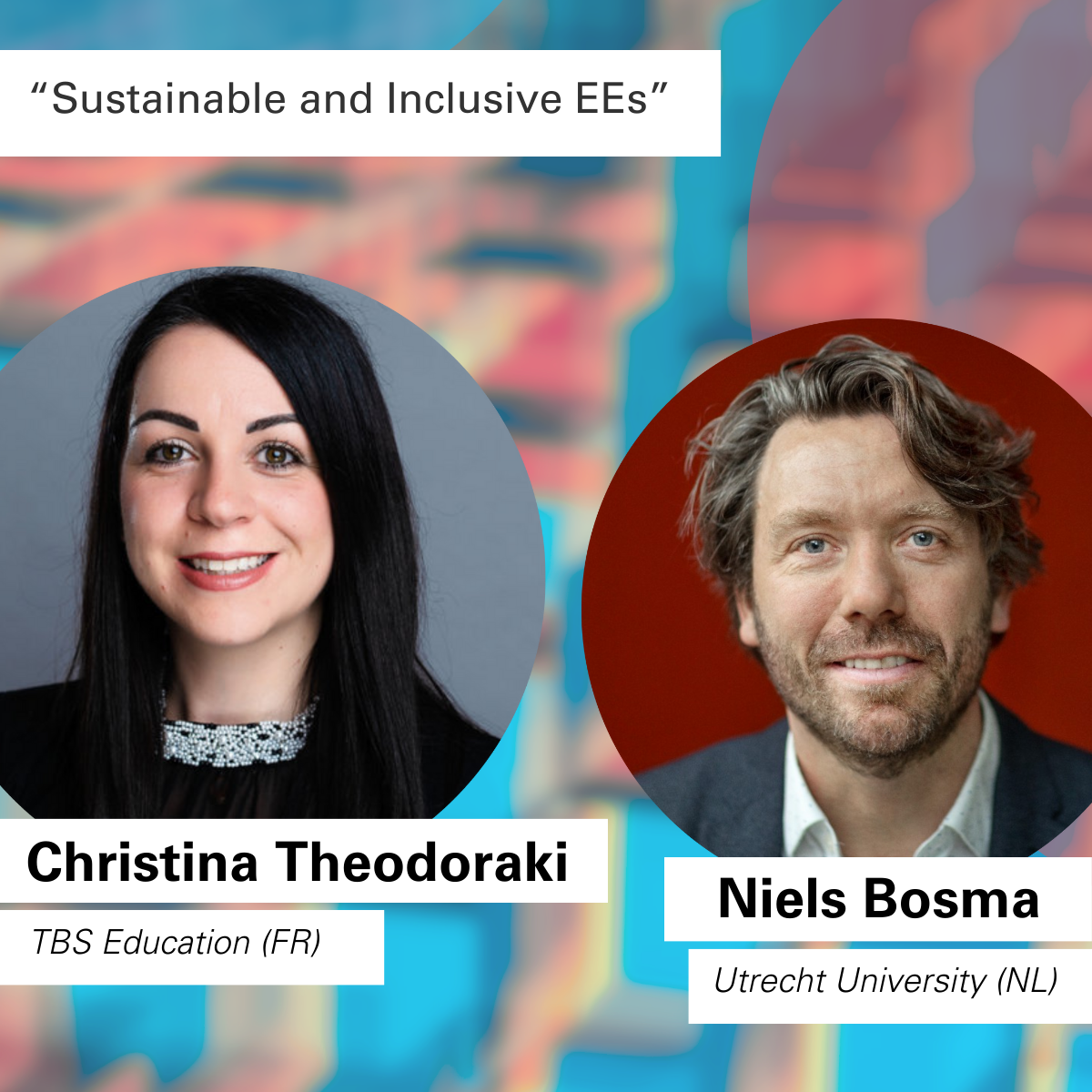 Christina Theodoraki (TBS Education, FR) and Niels Bosma (Utrecht University, NL) will be our expert speakers on the topic "Sustainable and Inclusive EEs".